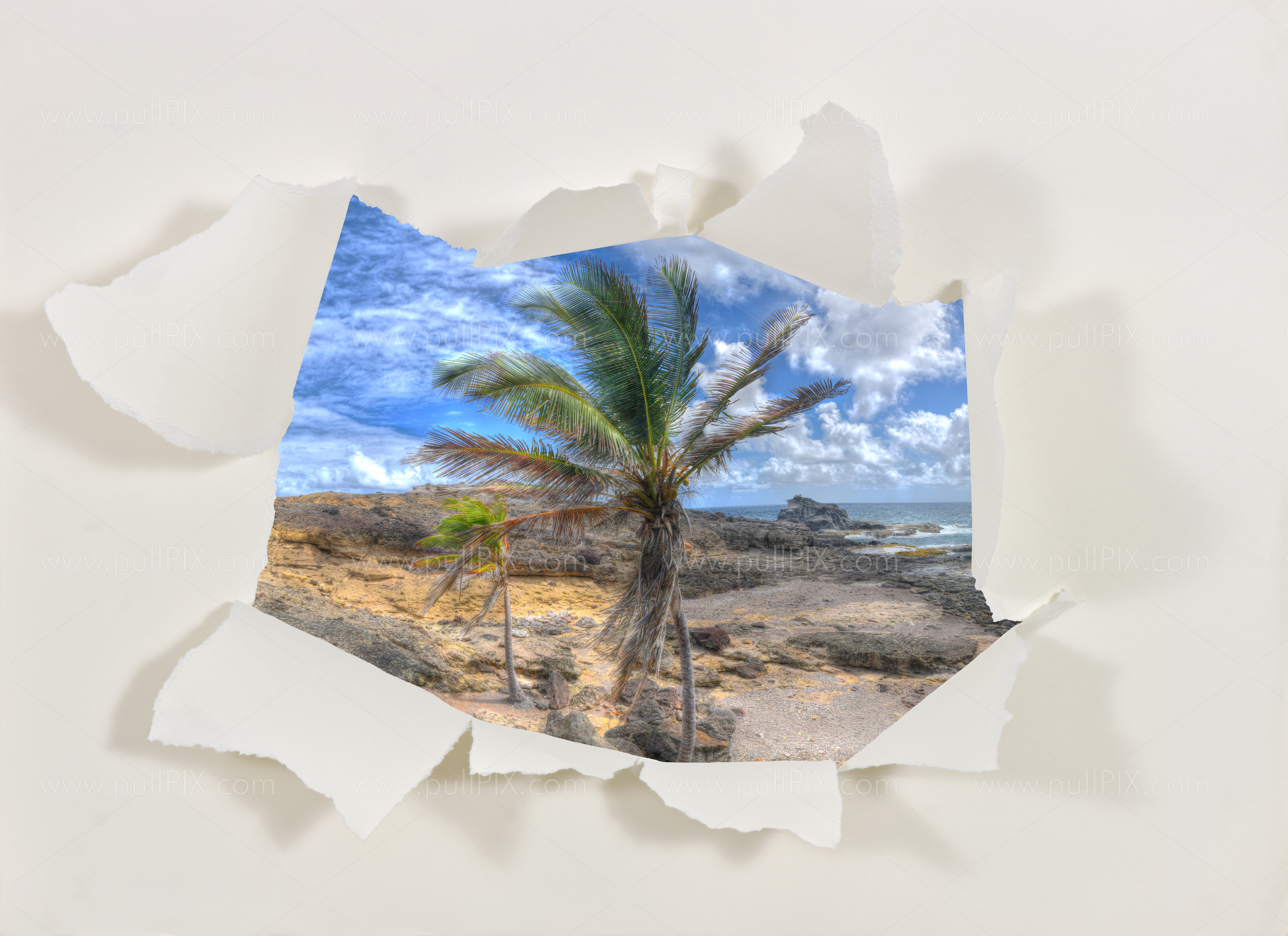 Preview Papier Loch_Frei_Palme.jpg